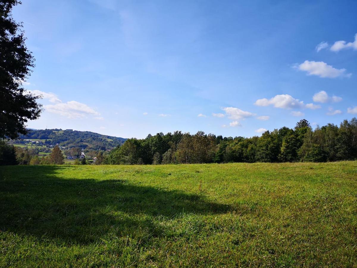 Zamek Ostrowski Villa Chojnik Esterno foto
